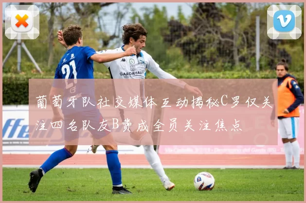 葡萄牙队社交媒体互动揭秘C罗仅关注四名队友B费成全员关注焦点