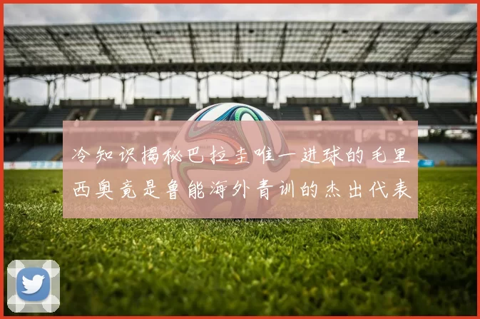 冷知识揭秘巴拉圭唯一进球的毛里西奥竟是鲁能海外青训的杰出代表